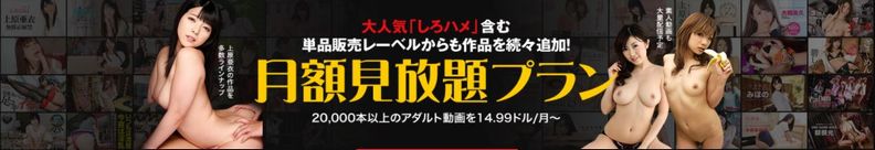 Hey動画見放題プランはこちら